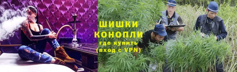 купить наркотики сайты  Борзя  ОМГ ОМГ ТОР  Канабис White Widow 